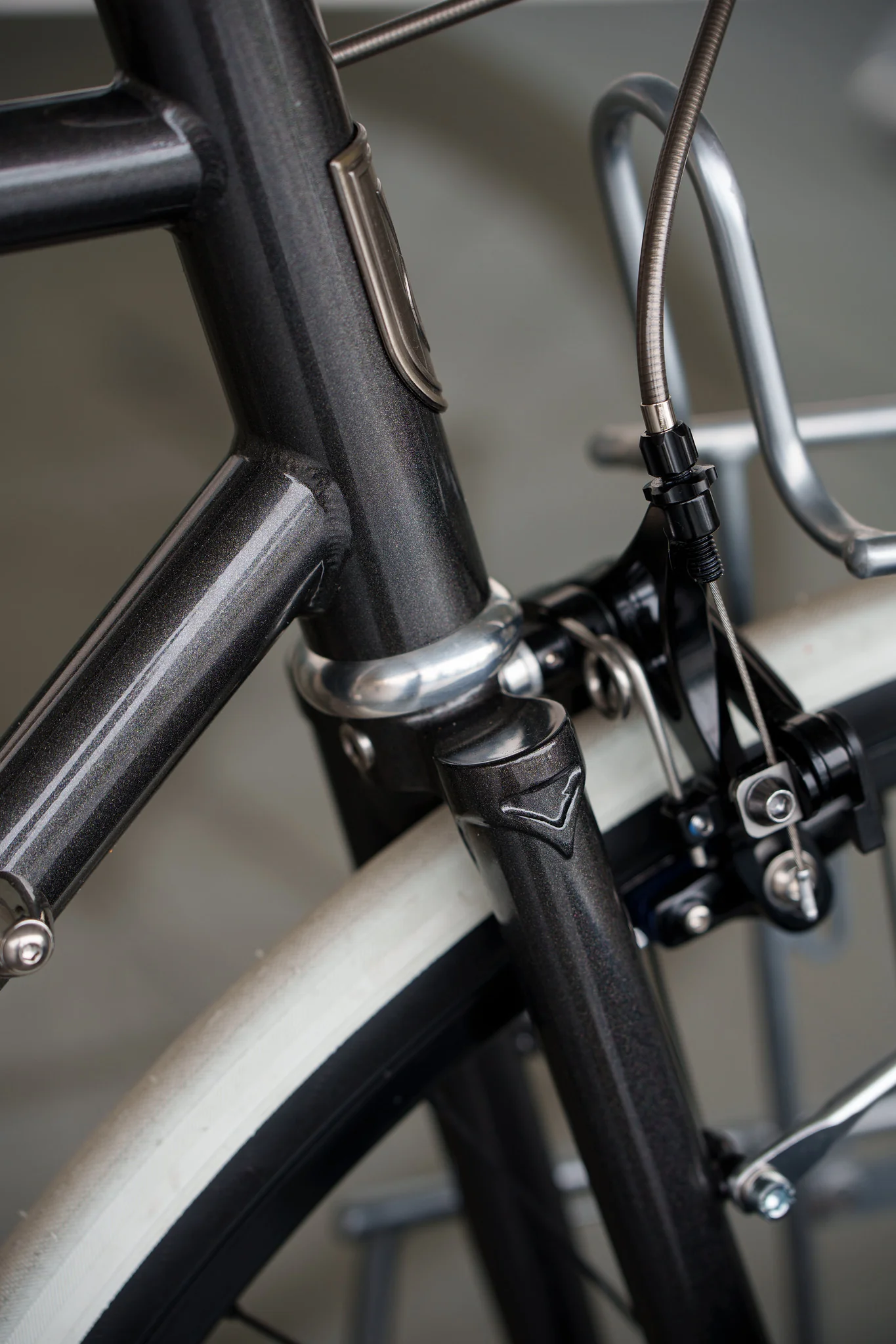 Rando Frameset - Image 12